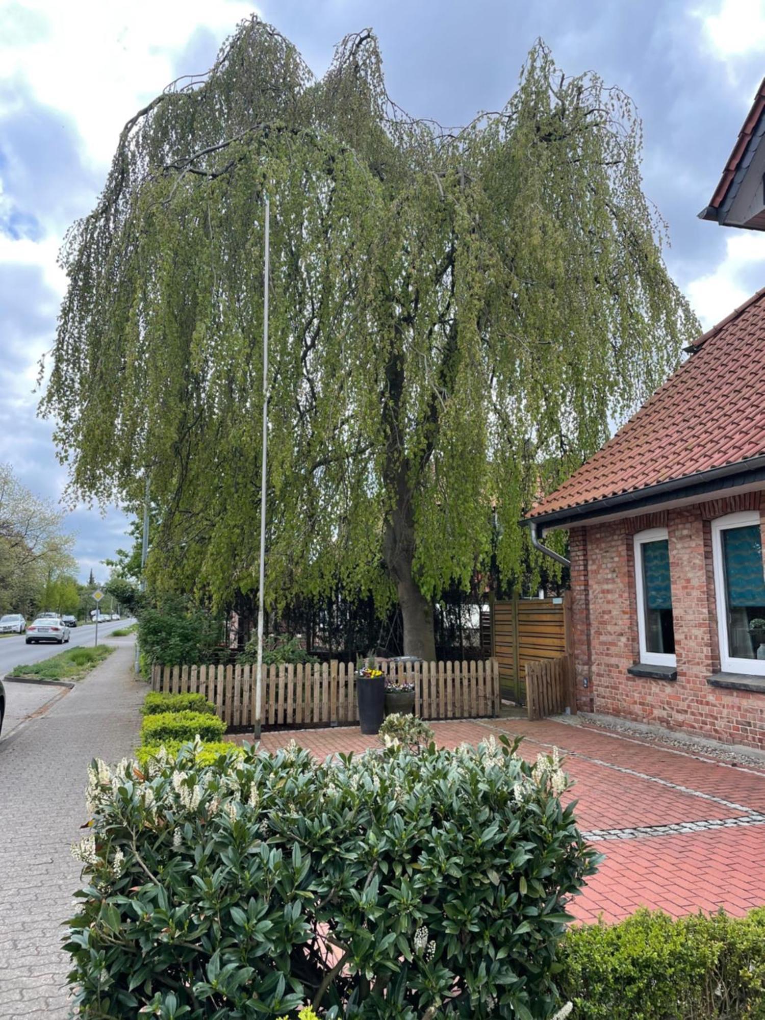 Oldaus Nestchen * Oldau